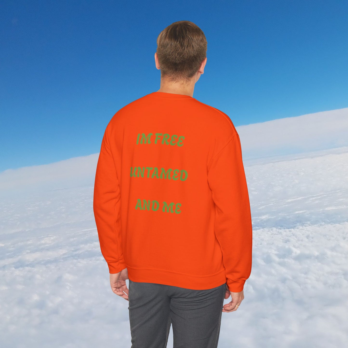 Crewneck Sweatshirt Variety