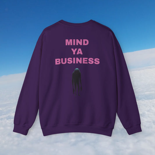 Crewneck Sweatshirt Variety