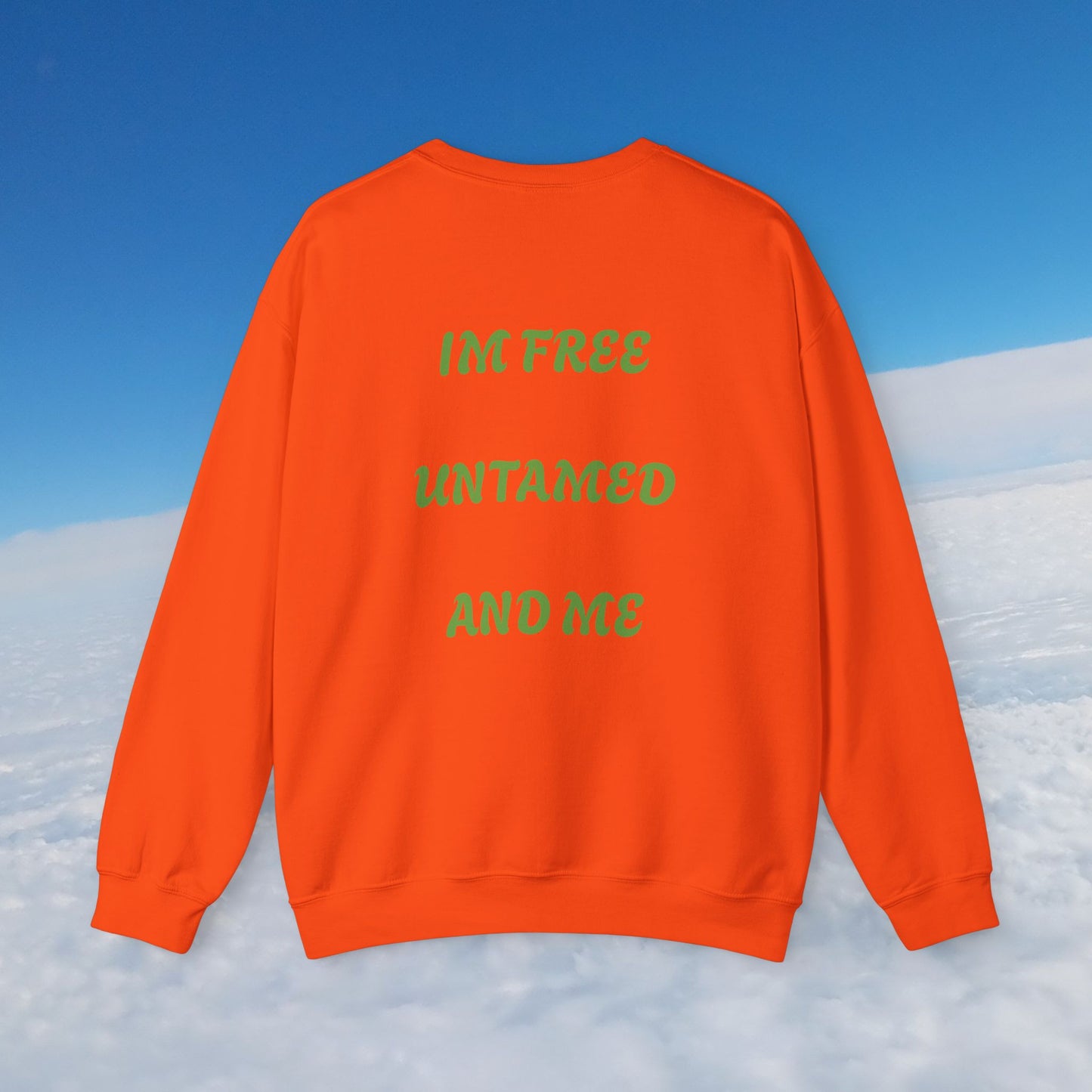 Crewneck Sweatshirt Variety